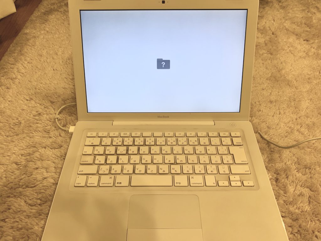 SSD換装】古いMacBook（2009）に最新のSamsung 860 EVOを載せてみた 